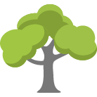 Laguna Niguel Tree Removal