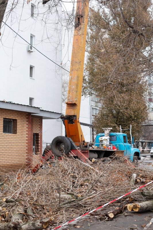 Tree Removal Truck on Site
