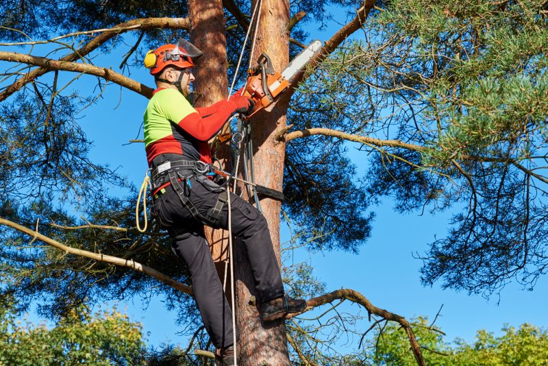 Arborists and Tree Care Specialists